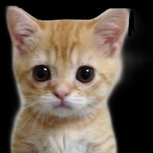 Meet your Posher, Liam